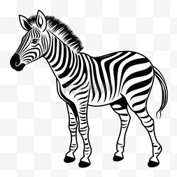 动物设计插图图片_一只黑白相间的可爱斑马的矢量