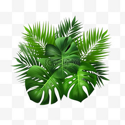 热带树叶棕榈枝的写实构图与绿叶
