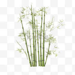 竹树概念插图
