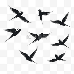 动物鸟飞翔的图片_白色背景上飞翔的鸟儿的剪影。矢