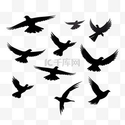 动物剪影的图片_一群飞翔的鸟儿。飞鸟剪影、孤立