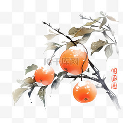 橙色树图片_霜降国风柿子树手绘元素