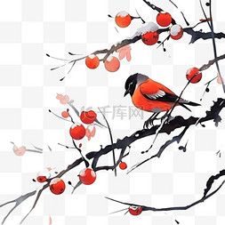 柿子霜降元素手绘国画小鸟枝头