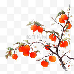 纯色带元素背景图片_霜降卡通元素柿子树手绘