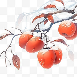 元素霜降树枝上带白霜柿子手绘