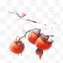 红色柿子图片_手绘树枝上带白霜柿子霜降元素