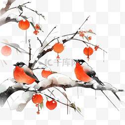 树枝小鸟手绘卡通图片_白霜柿子小鸟霜降树枝国画手绘元