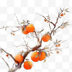 纯色背景橙色图片_霜降柿子树手绘国风元素