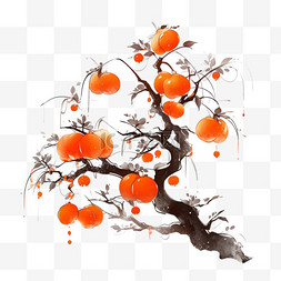 上面橙色图片_霜降柿子树元素国风手绘