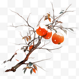 橙色树图片_霜降手绘元素柿子树国风