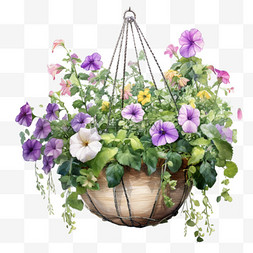 紫色鲜花图片_水彩紫色鲜花吊篮免扣元素