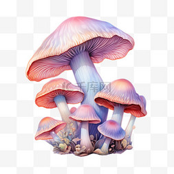 水彩淡紫色蘑菇免扣元素