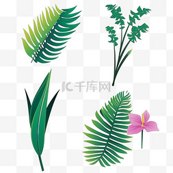 植物几何形图片_叶子针形叶绿色清新龟背竹植物树