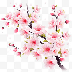 春天手绘花卉图片_盛开樱花。