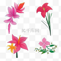 花朵清新植物粉色简约素材装饰