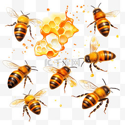蜂蜜飞溅和蜜蜂五颜六色的写实插