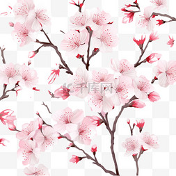 粉红色上盛开的樱花的花香。