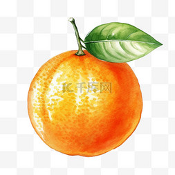 橙子免扣元素图片_水彩美味橙子免扣元素