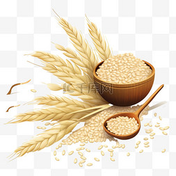 水稻玉米小麦图片_米粒插图