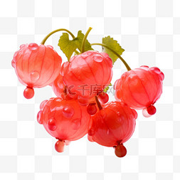 诱人的海棠果熟了水果红色
