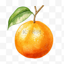 水彩橙色橙子免扣元素