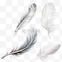 透明白色翅膀图片_白色羽毛透明套装