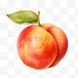 桃水彩手绘图片_水彩新鲜桃子免扣元素