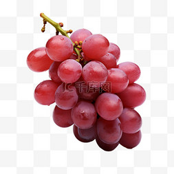 葡萄红提提子农产品水果