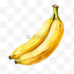 香蕉水彩图片_水彩国产香蕉免扣元素