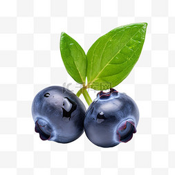 蓝莓摄影图片_水果蓝莓摄影图元素