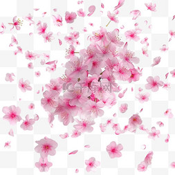花边日式图片_粉红色樱花飘落的花瓣矢量背景。