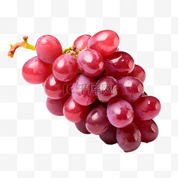 深红色的提子农产品水果葡萄红提