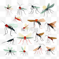 危险的蚊子。虫子和警告飞行动物
