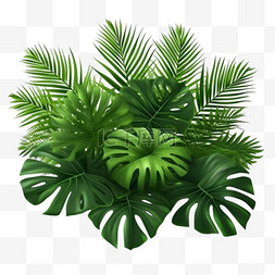 图像映射图片_热带树叶棕榈枝的写实构图与绿叶