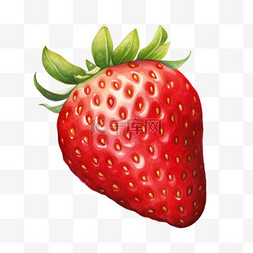 水彩新鲜草莓果实免扣元素