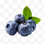 水果蓝莓摄影图元素