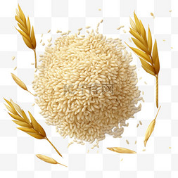 抱水稻水稻图片_米粒插图