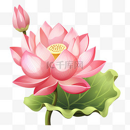 中国风荷花简约图片_夏季大暑中国风插画简约荷花元素