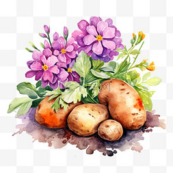 土豆泥土图片_水彩粉色鲜花土豆免扣元素
