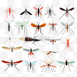 动物危险图片_危险的蚊子。虫子和警告飞行动物