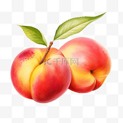 水彩两个桃子免扣元素