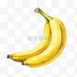 两根香蕉图片_水彩两根香蕉免扣元素
