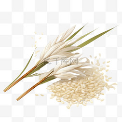 小麦玉米水稻图片_米粒插图