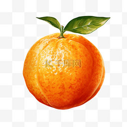 水彩整个美味橙子免扣元素
