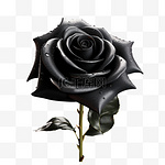 黑色玫瑰暗黑写实元素装饰图案