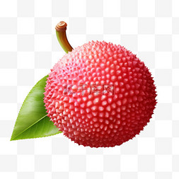 荔枝圆润红色水果写实元素装饰图