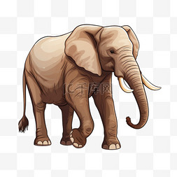 大象手绘图片_大象教育