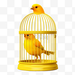 在笼子里的鸟图片_关在笼子里的黄色鸟