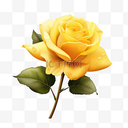 黄色玫瑰露水元素装饰图案写实