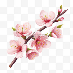 春天春季桃花植物树枝写实元素装